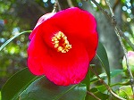 20070322 18.jpg